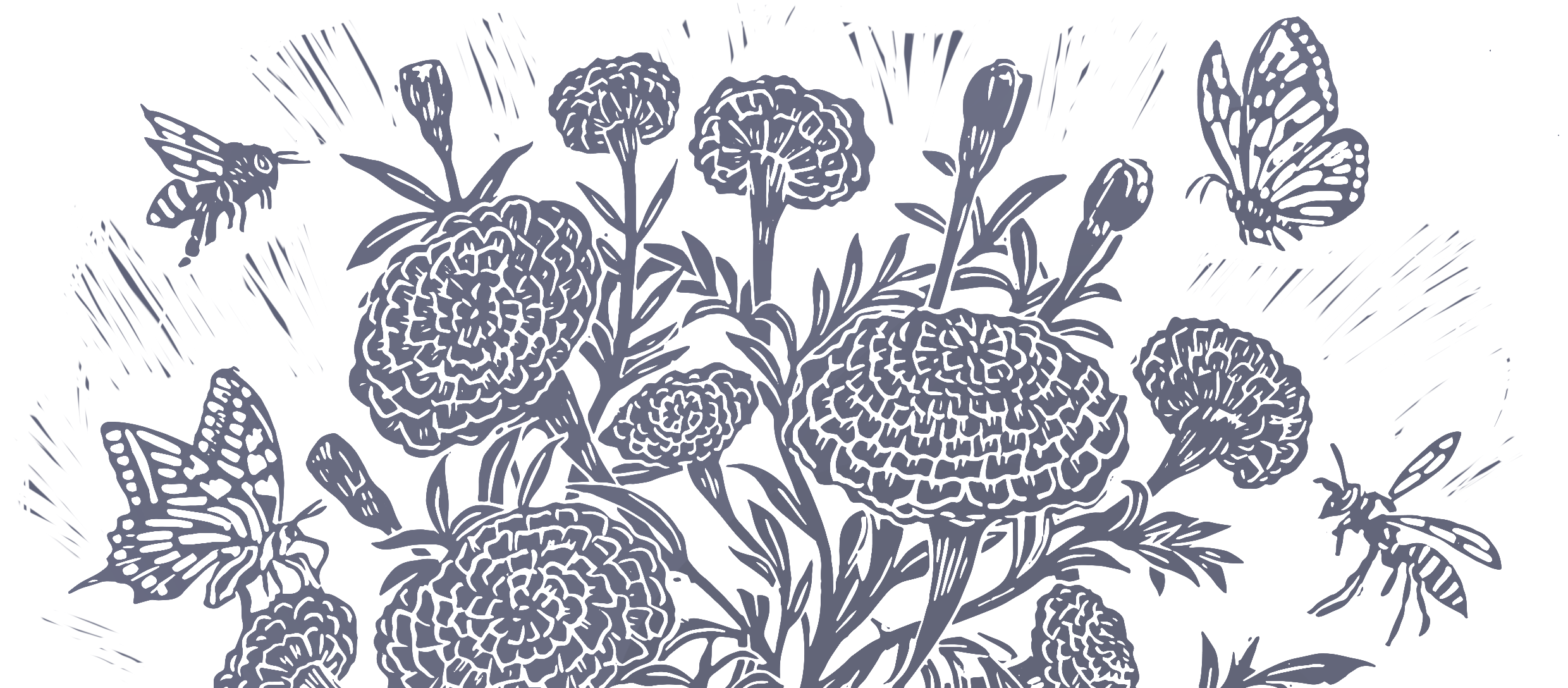 dalee@daleeellaprints.com.au