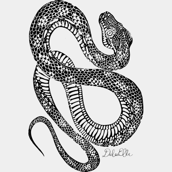 Diamond python 4 shirts Thumbnail