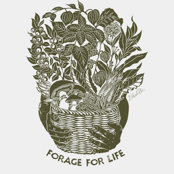 Forager copy Thumbnail